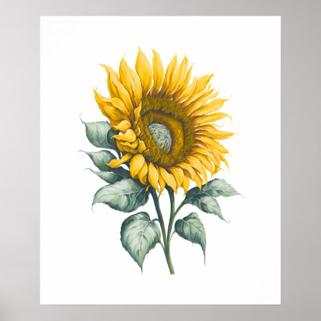 Affiche Aquarelle de tournesol (Devant)