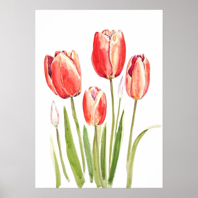Affiche aquarelle des tulipes orange (Devant)