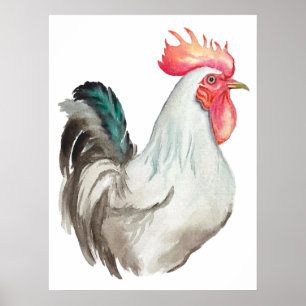 Affiche Aquarelle dessinée à la main d'un coq