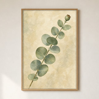 Affiche aquarelle d'étude de tige d'eucalyptus