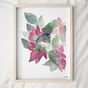 Affiche Aquarelle d'Oiseau foncé Junco