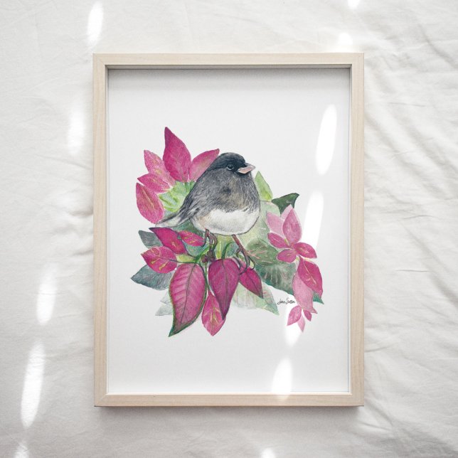 Affiche Aquarelle d'Oiseau foncé Junco (Junco Dark Eyed Bird Watercolor Art Print from Jenn's Emporium.)