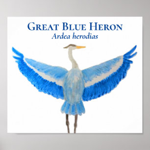 Affiche Aquarelle d'oiseau scientifique Grand Héron bleu