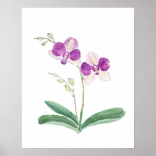 Affiche aquarelle d'orchidée violette