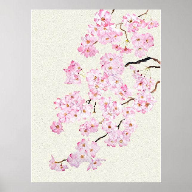 Affiche Aquarelle en fleur de cerisier rose 2024 (Devant)
