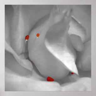 Affiche Aquarelle Éolienne Imprimer