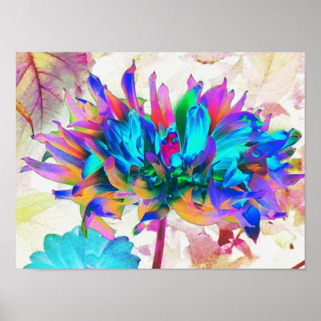 Affiche Aquarelle étonnante Rainbow Cactus Dahlia (Devant)