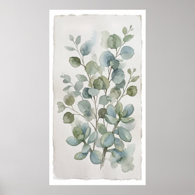 Affiche aquarelle Eucalyptus à feuilles rondes (Devant)