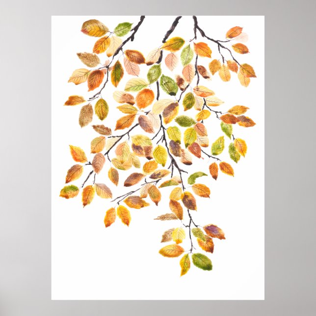 Affiche aquarelle feuille de hêtre jaune orange d'automne (Devant)