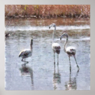 Affiche Aquarelle Flamant rose Pose