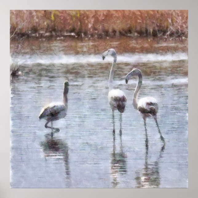 Affiche Aquarelle Flamant rose Pose (Devant)