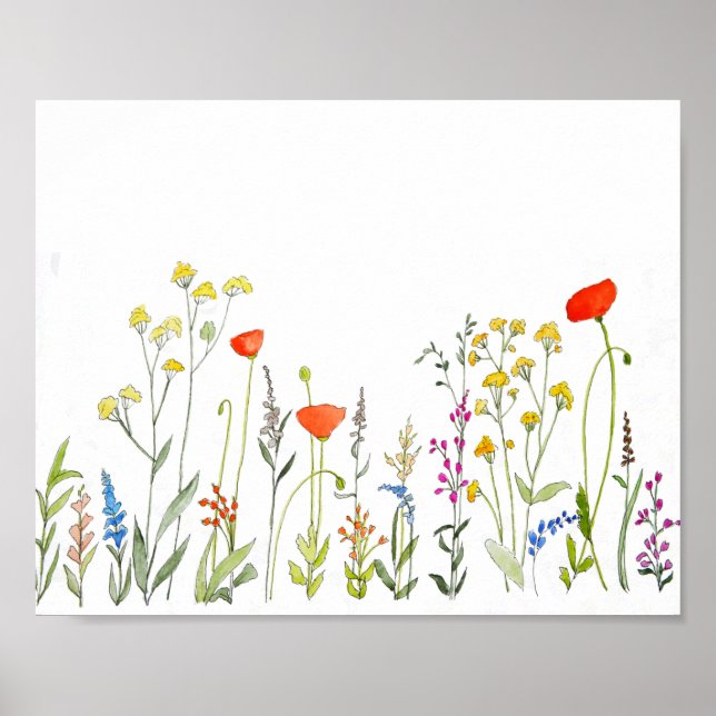 Affiche Aquarelle fleur sauvage (Devant)