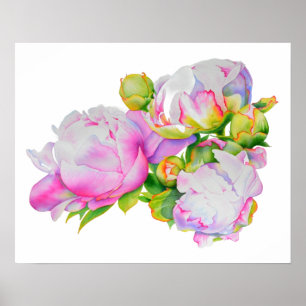 Affiche Aquarelle florale classique et élégante de pivoine