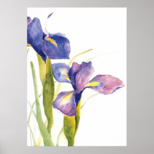 Affiche Aquarelle florale d'iris