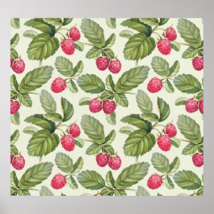Affiche Aquarelle Framboise Motif sans couture