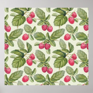 Affiche Aquarelle Framboise Motif sans couture