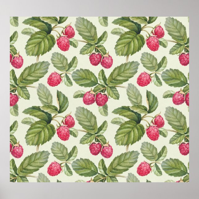 Affiche Aquarelle Framboise Motif sans couture (Devant)
