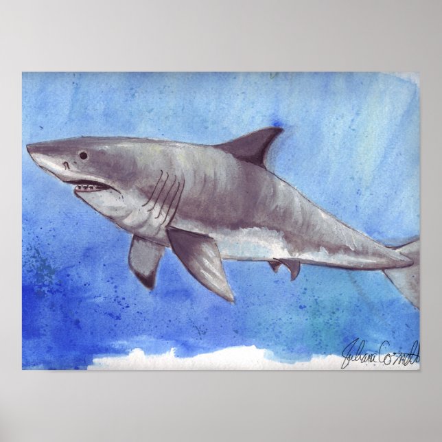 Affiche Aquarelle Grand requin blanc (Devant)