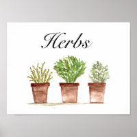 Aquarelle Herbes Thyme Rosemary Parsley Plantes