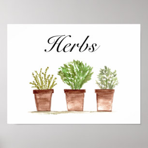 Affiche Aquarelle Herbes Thyme Rosemary Parsley Plantes