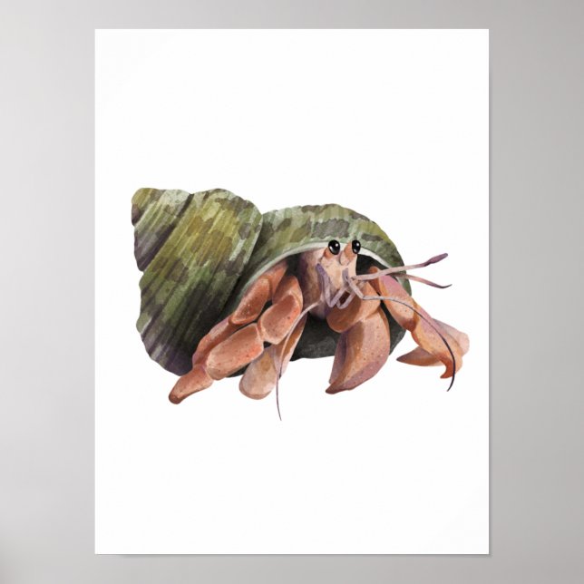 Affiche Aquarelle Hermit Crab Crustaceancore (Devant)