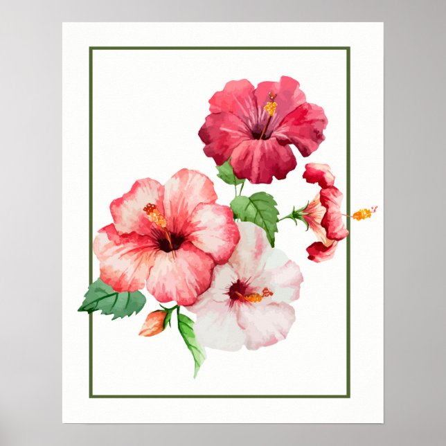Affiche Aquarelle Hibiscus Fleurs tropicales (Devant)
