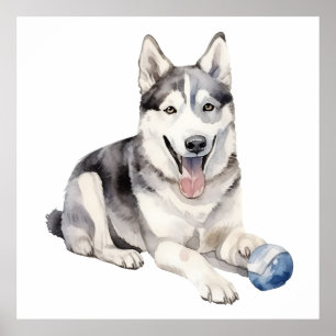 Affiche Aquarelle Husky Chien