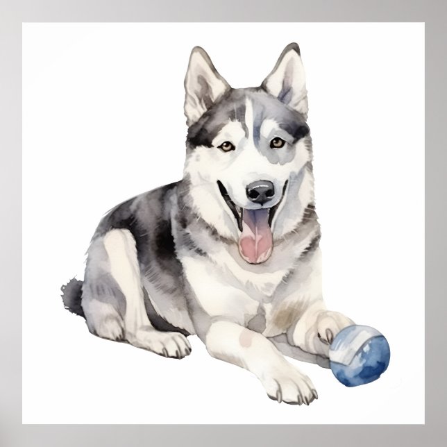 Affiche Aquarelle Husky Chien (Devant)