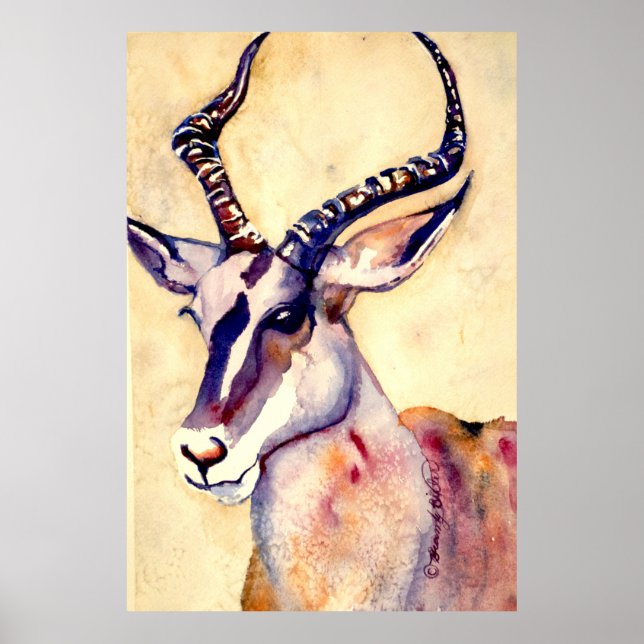 Affiche Aquarelle Impala (Devant)