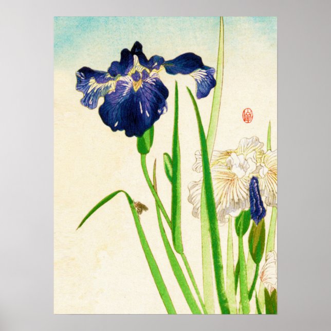 Affiche Aquarelle japonaise bleu Iris (Devant)