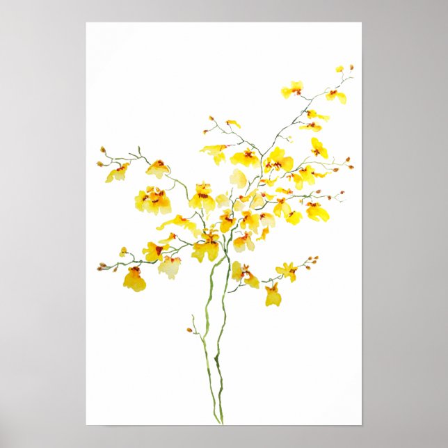 Affiche aquarelle jaune de l'orchidée oncidique (Devant)