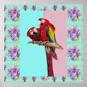 Affiche Aquarelle Macaw Peinture d'oiseaux Aqua Pink Poste