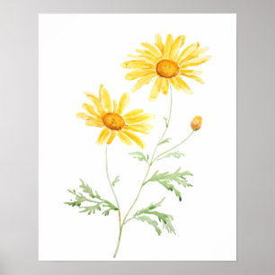Affiche Aquarelle marguerite jaune