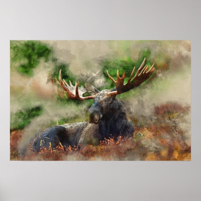 Affiche Aquarelle Mélange Média Moose (Devant)