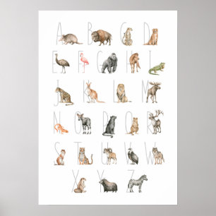 Affiche Aquarelle mignonne Alphabet animal