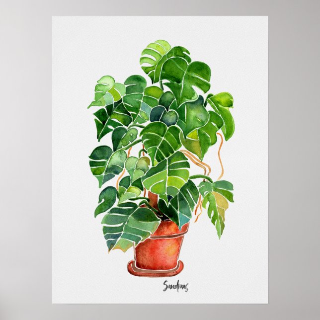 Affiche Aquarelle Monstera Plante en pot (Devant)
