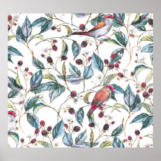 Affiche Aquarelle naturelle motif : mûres, oiseaux, f
