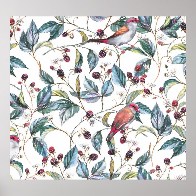 Affiche Aquarelle naturelle motif : mûres, oiseaux, f (Devant)