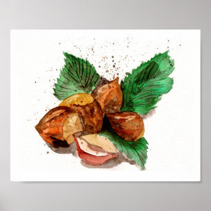 Affiche Aquarelle noisettes