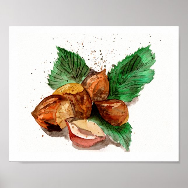 Affiche Aquarelle noisettes (Devant)