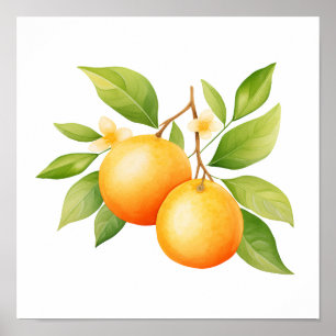 Affiche Aquarelle Orange Avec Fleur