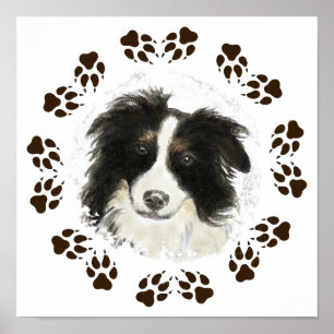 Affiche Aquarelle originale Bordure Collie Chien animal