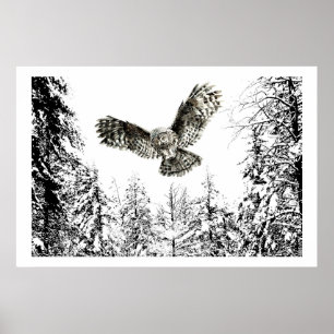 Affiche Aquarelle originale Frappe ou Chasse Chouette Oise