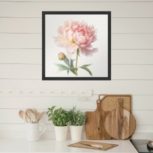 Affiche Aquarelle Peine rose douce dans Carré en fleur