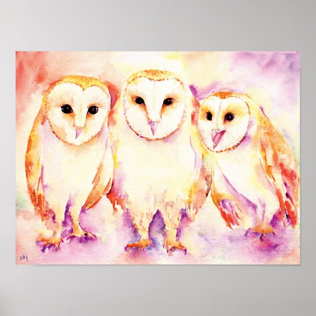 Affiche Aquarelle Peinture de 3 Chouettes d'Amérique (Devant)