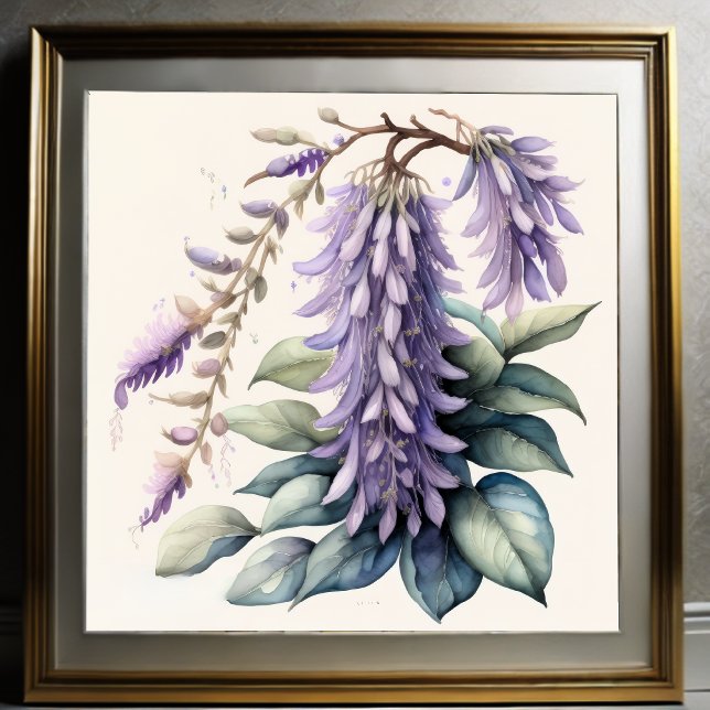 Affiche Aquarelle Peinture de Wisteria (Créateur téléchargé)