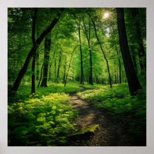 Affiche Aquarelle Peinture d'une forêt d'été luxuriante