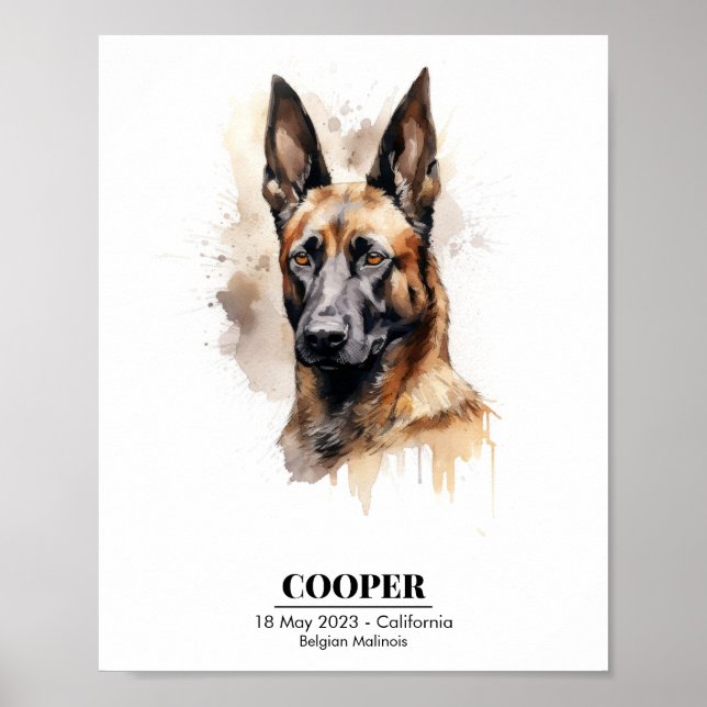 Affiche Aquarelle personnalisable Peinture de Malinois (Devant)