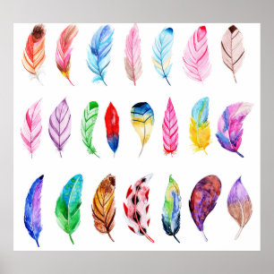 Affiche Aquarelle Plumes : Belle Collection Vintage.