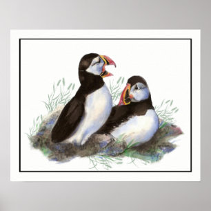Affiche Aquarelle Puffin Ocean Bird Art
